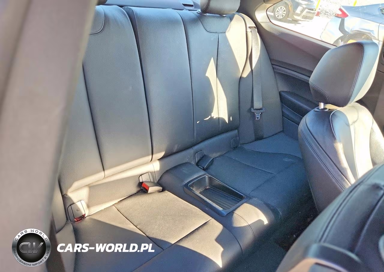 2016 BMW 228 Xi Sulev VIN:WBA1G9C54GV726756 - 10