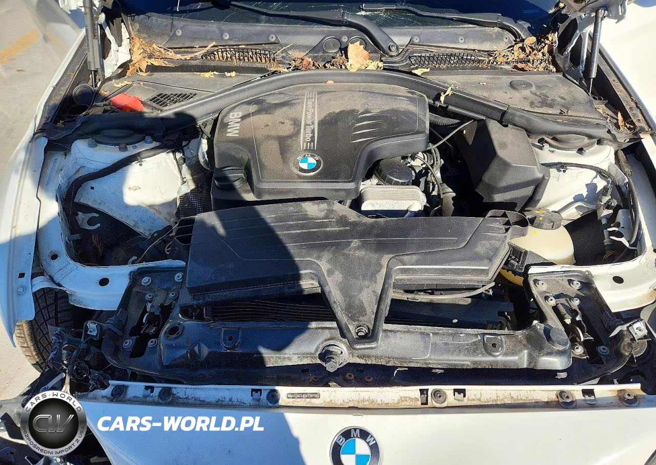 2016 BMW 228 Xi Sulev VIN:WBA1G9C54GV726756 - 11