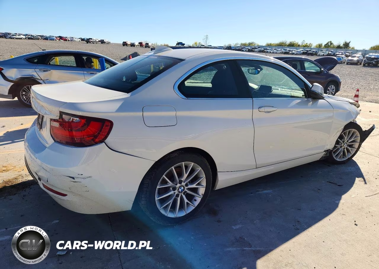 2016 BMW 228 Xi Sulev VIN:WBA1G9C54GV726756 - 3