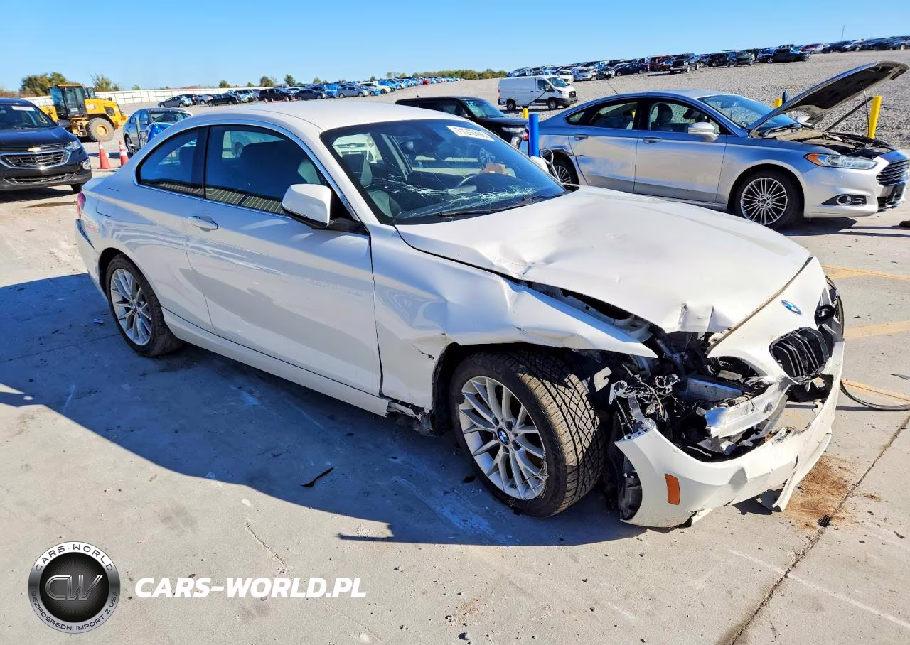 2016 BMW 228 Xi Sulev VIN:WBA1G9C54GV726756 - 4