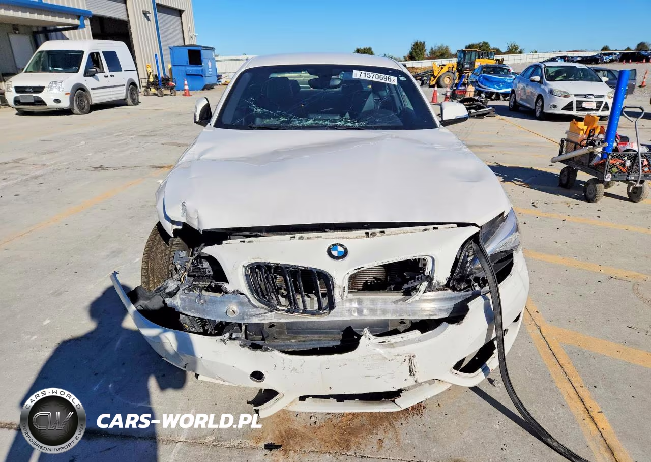 2016 BMW 228 Xi Sulev VIN:WBA1G9C54GV726756 - 5