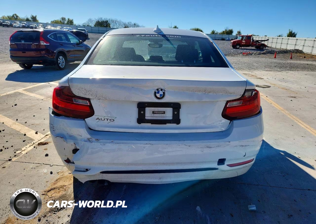 2016 BMW 228 Xi Sulev VIN:WBA1G9C54GV726756 - 6