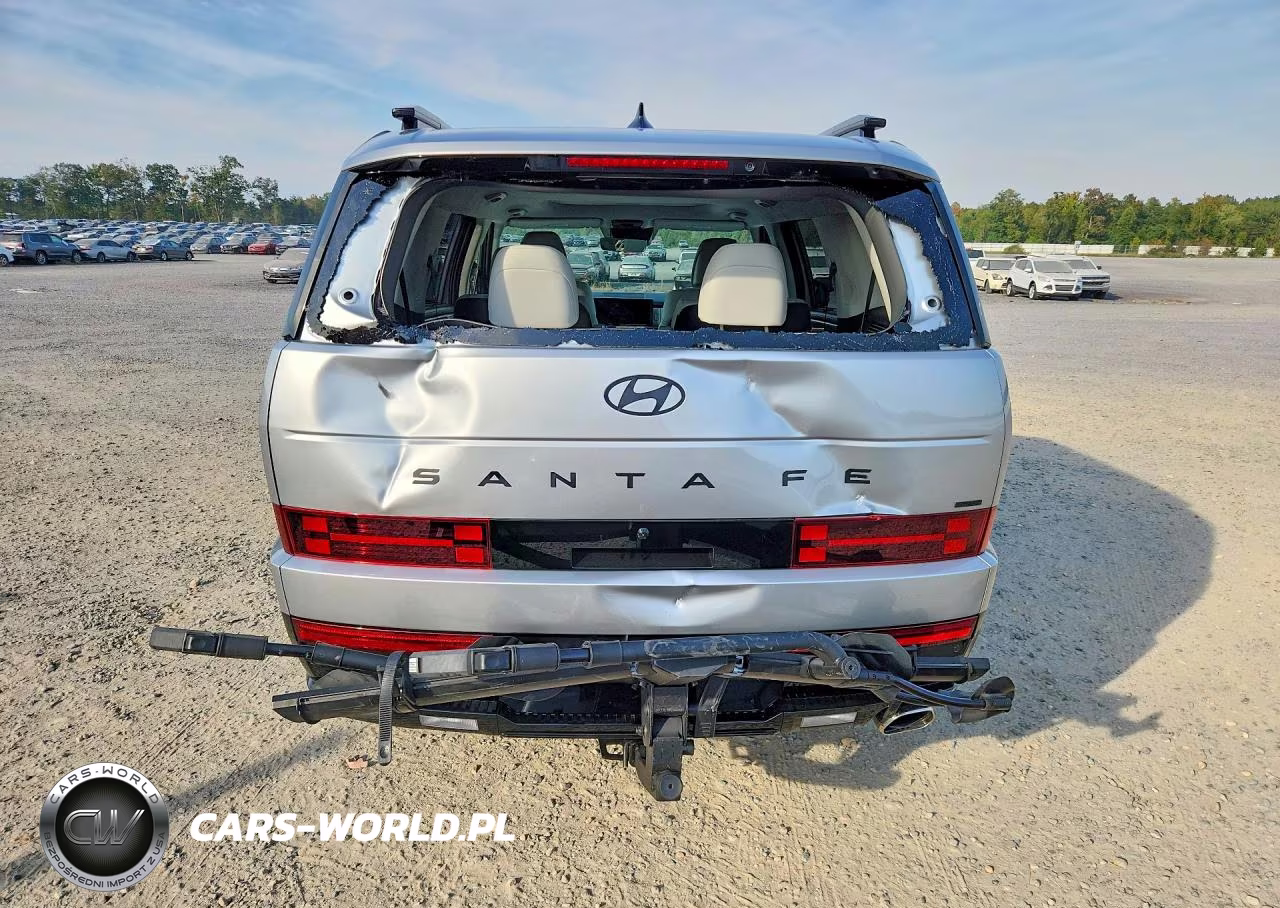 2026 Hyundai Santa Fe Calligraphy VIN:5NMP5DGL2TH234927 - 6