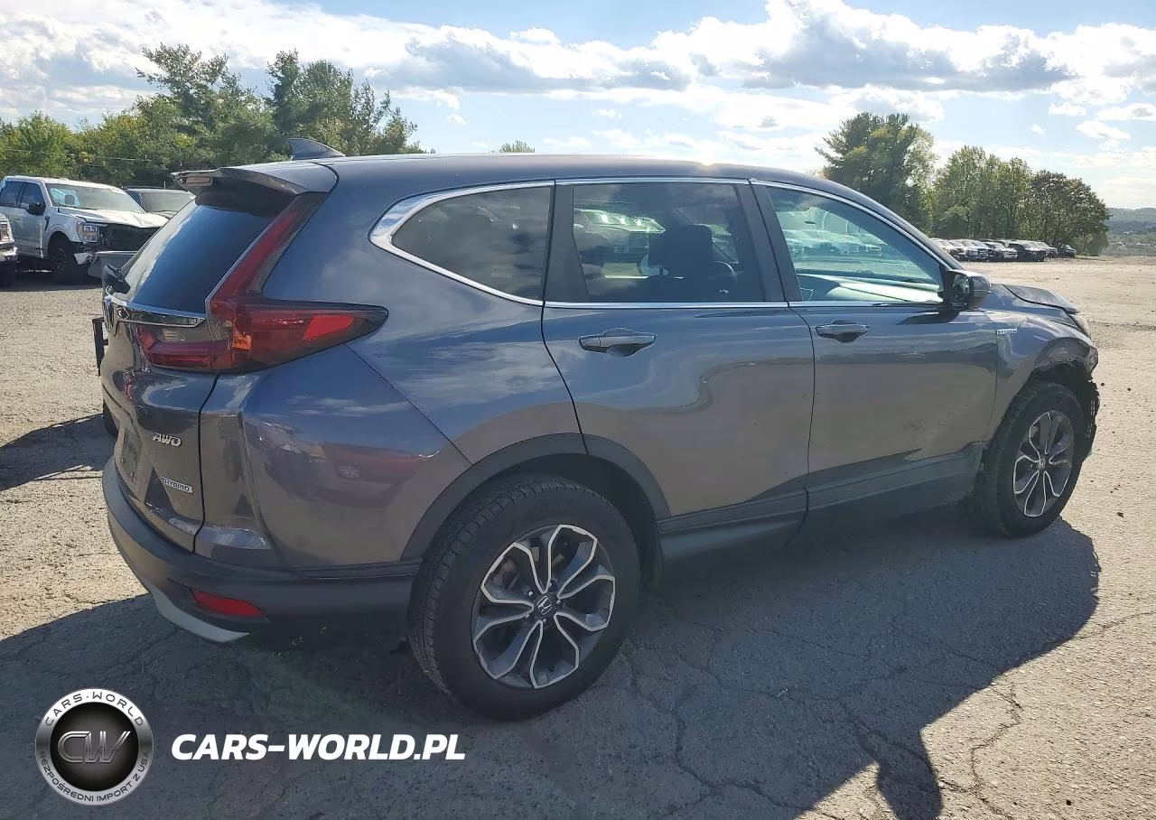 2022 Honda Cr-V Ex VIN:5J6RT6H59NL038179 - 3