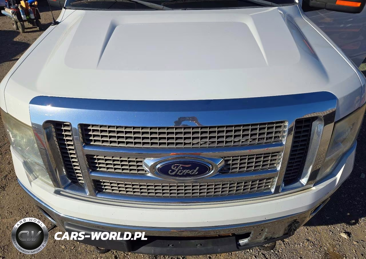 2012 Ford F150 Supercrew VIN:1FTFW1EF7CFC38795 - 11