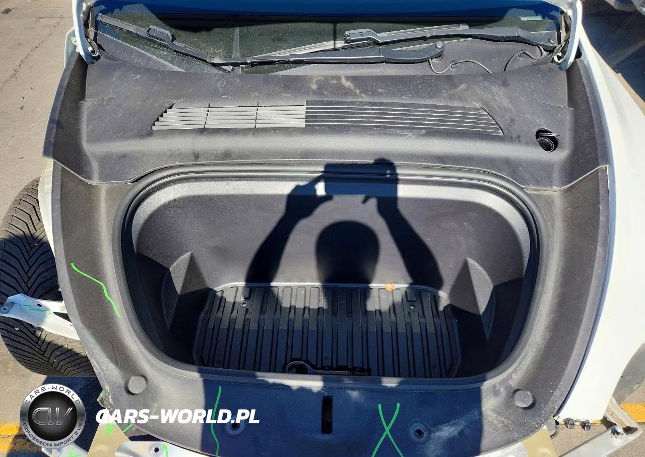 2020 Tesla Model Y VIN:5YJYGDEF0LF009919 - 11