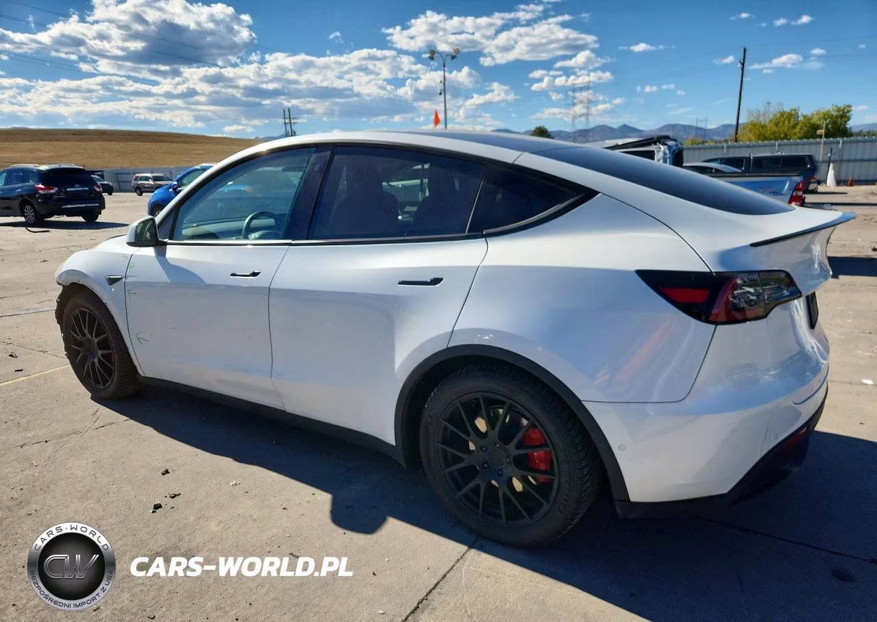 2020 Tesla Model Y VIN:5YJYGDEF0LF009919 - 2