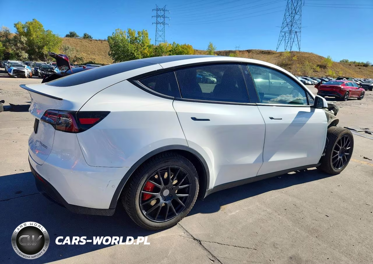 2020 Tesla Model Y VIN:5YJYGDEF0LF009919 - 3