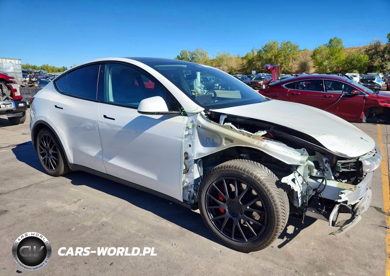 2020 Tesla Model Y VIN:5YJYGDEF0LF009919 - 4