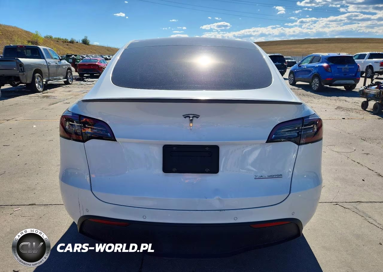 2020 Tesla Model Y VIN:5YJYGDEF0LF009919 - 6