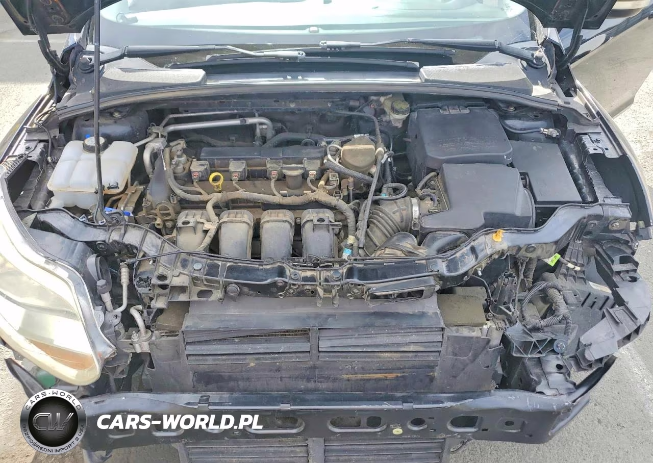 2014 Ford Focus Se VIN:1FADP3F21EL118416 - 11