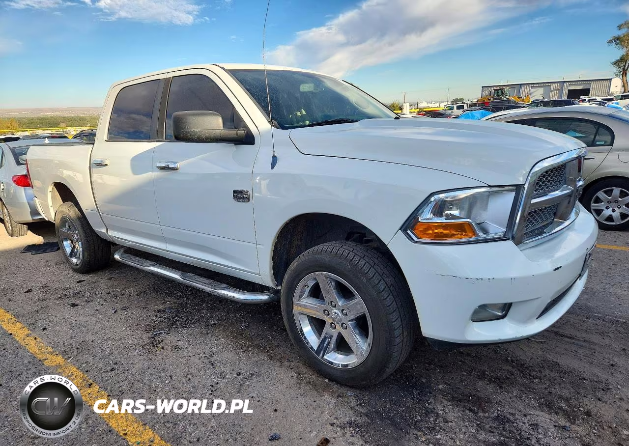 2009 Dodge Ram 1500 VIN:1D3HV13T99S708417 - 4