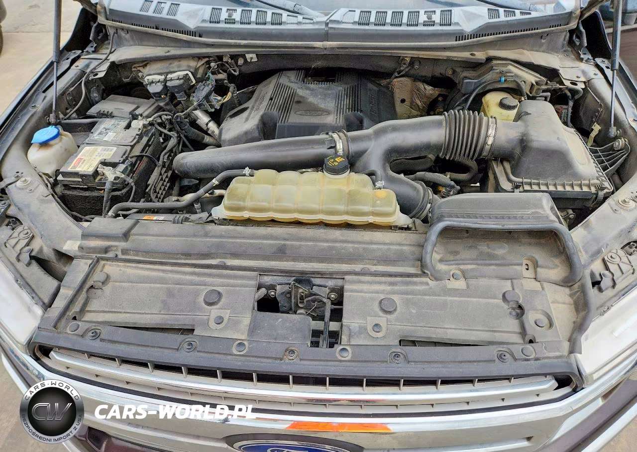 2019 Ford F150 Supercrew VIN:1FTEW1E4XKKE59081 - 11