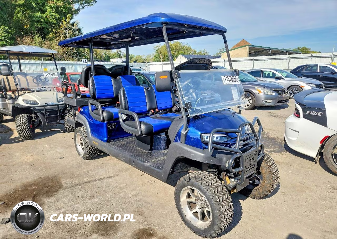 2023 Royal Golf Cart – zdjęcie 1 z 10