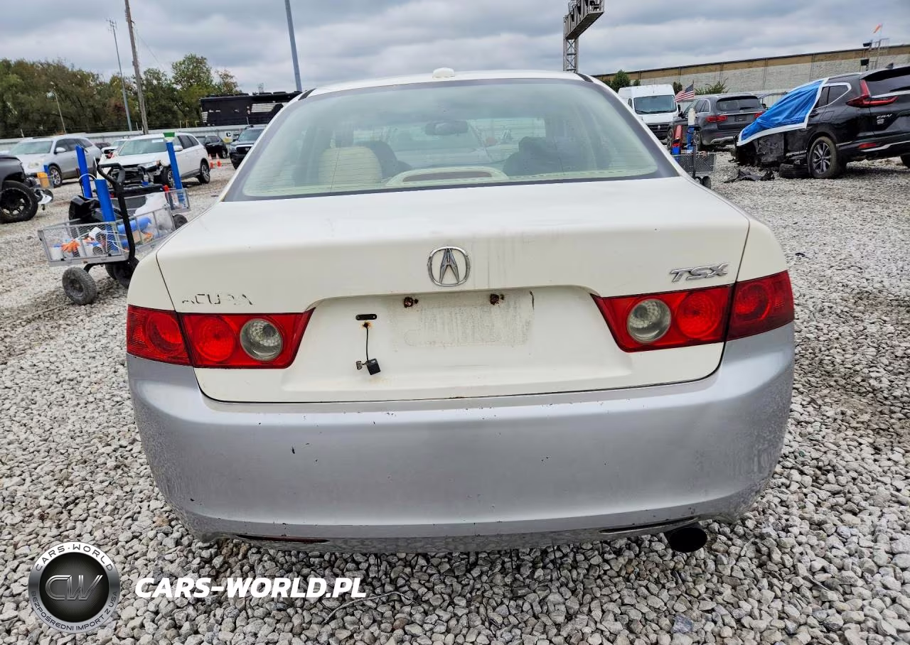 2007 Acura Tsx VIN:JH4CL96877C001109 - 6