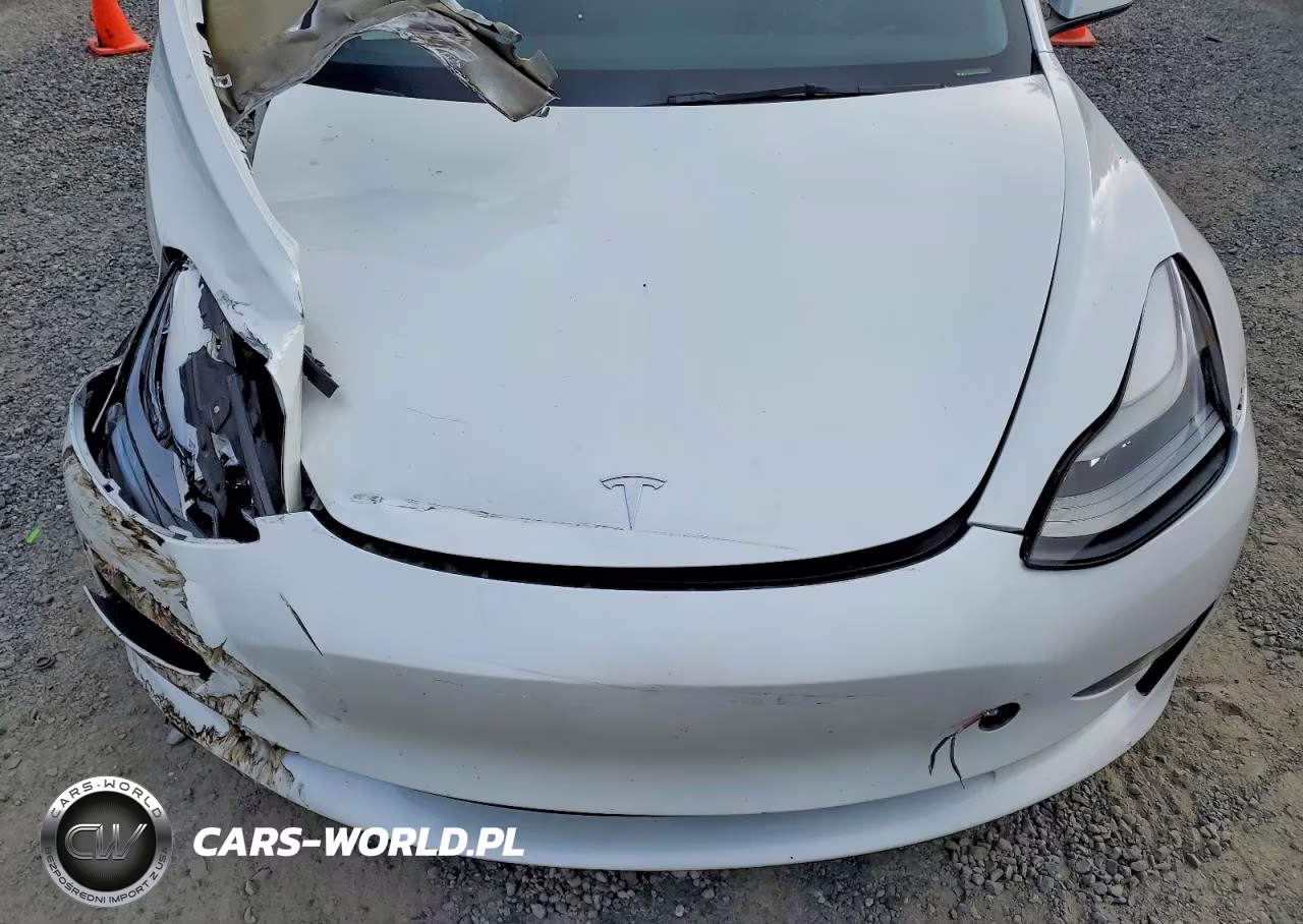 2023 Tesla Model 3 VIN:5YJ3E1EC5PF419142 - 11