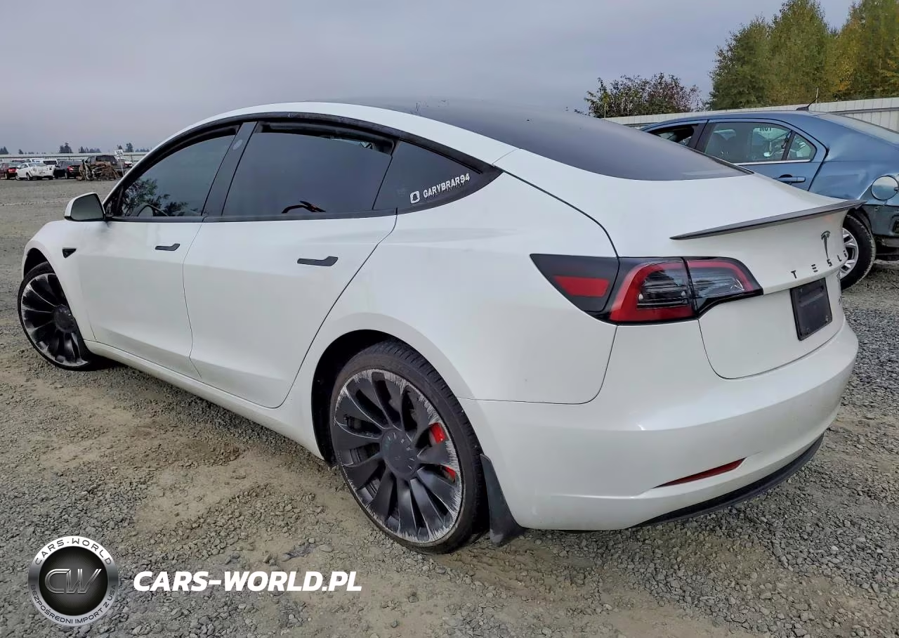 2023 Tesla Model 3 VIN:5YJ3E1EC5PF419142 - 2