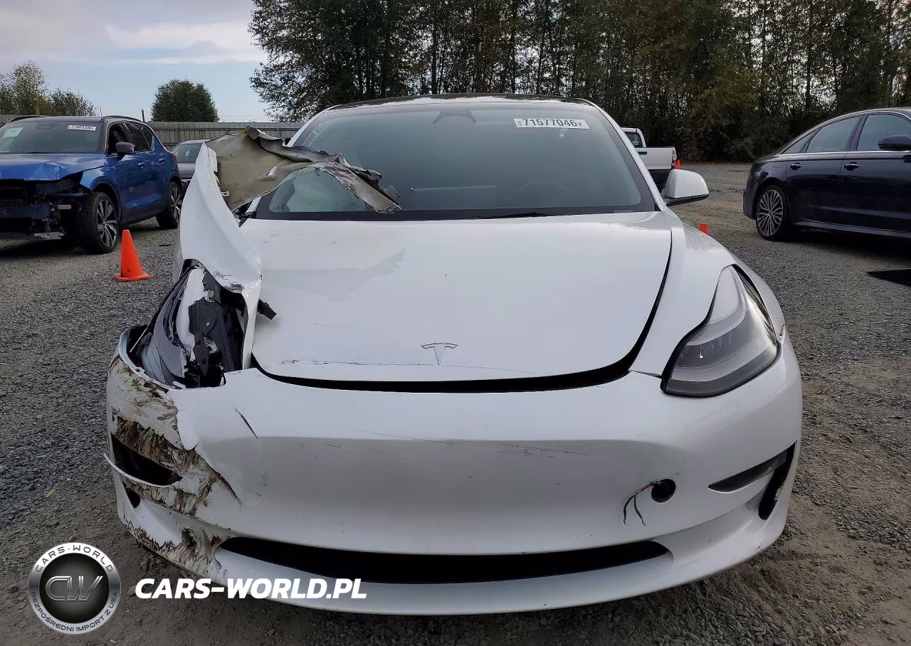 2023 Tesla Model 3 VIN:5YJ3E1EC5PF419142 - 5