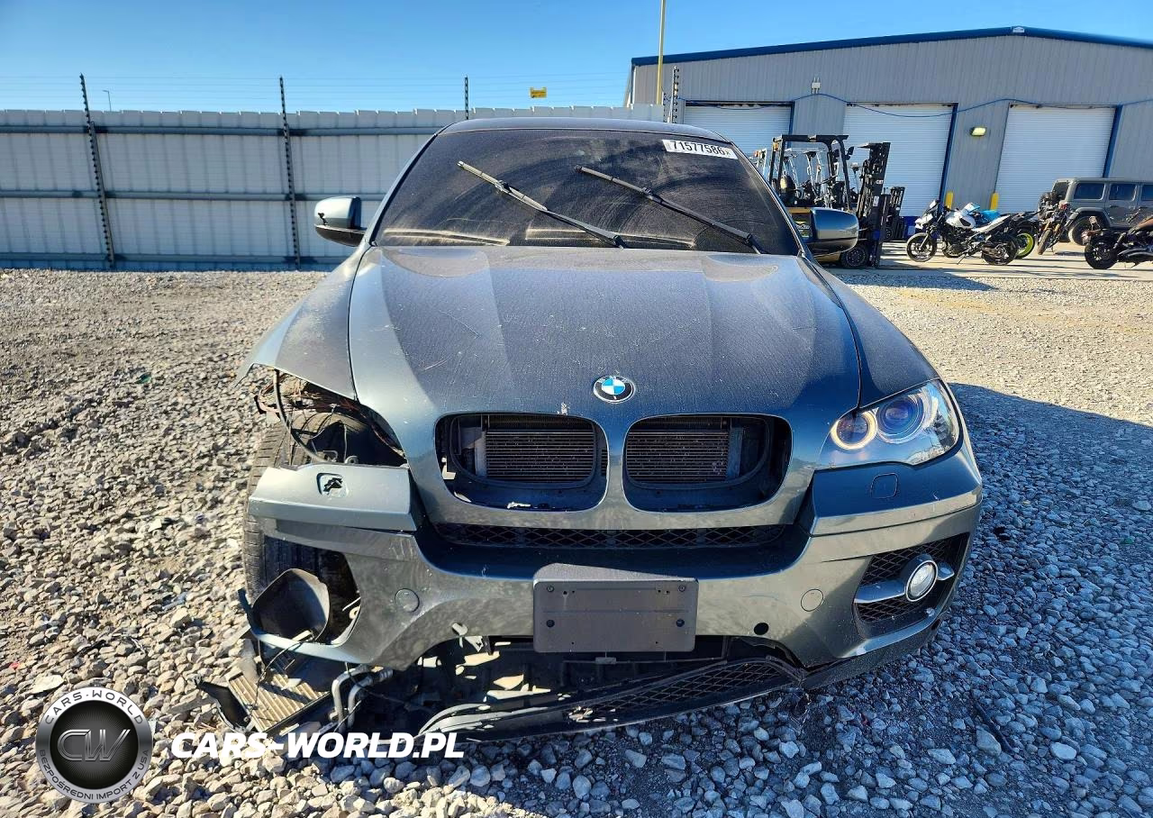 2012 BMW X6 xDrive50I VIN:5UXFG8C53CL590126 - 5