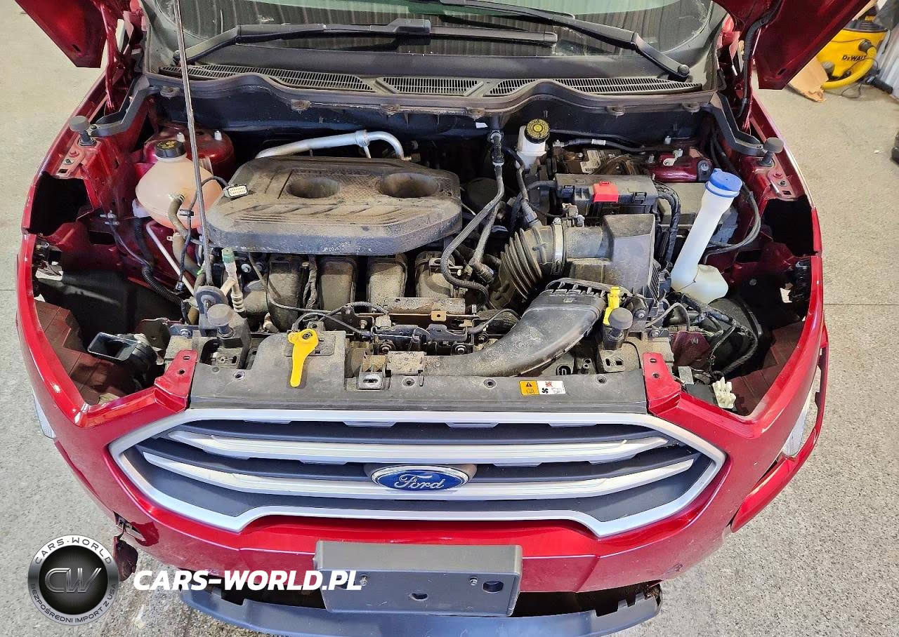 2020 Ford Ecosport Se VIN:MAJ6S3GL0LC390466 - 12