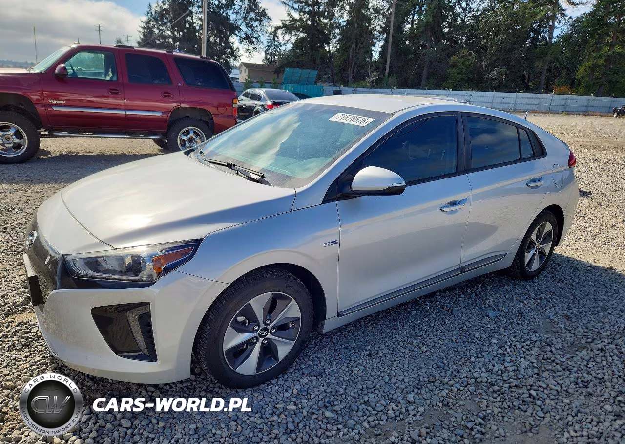 2019 Hyundai Ioniq Electric Base VIN:KMHC75LH2KU047139 - 1