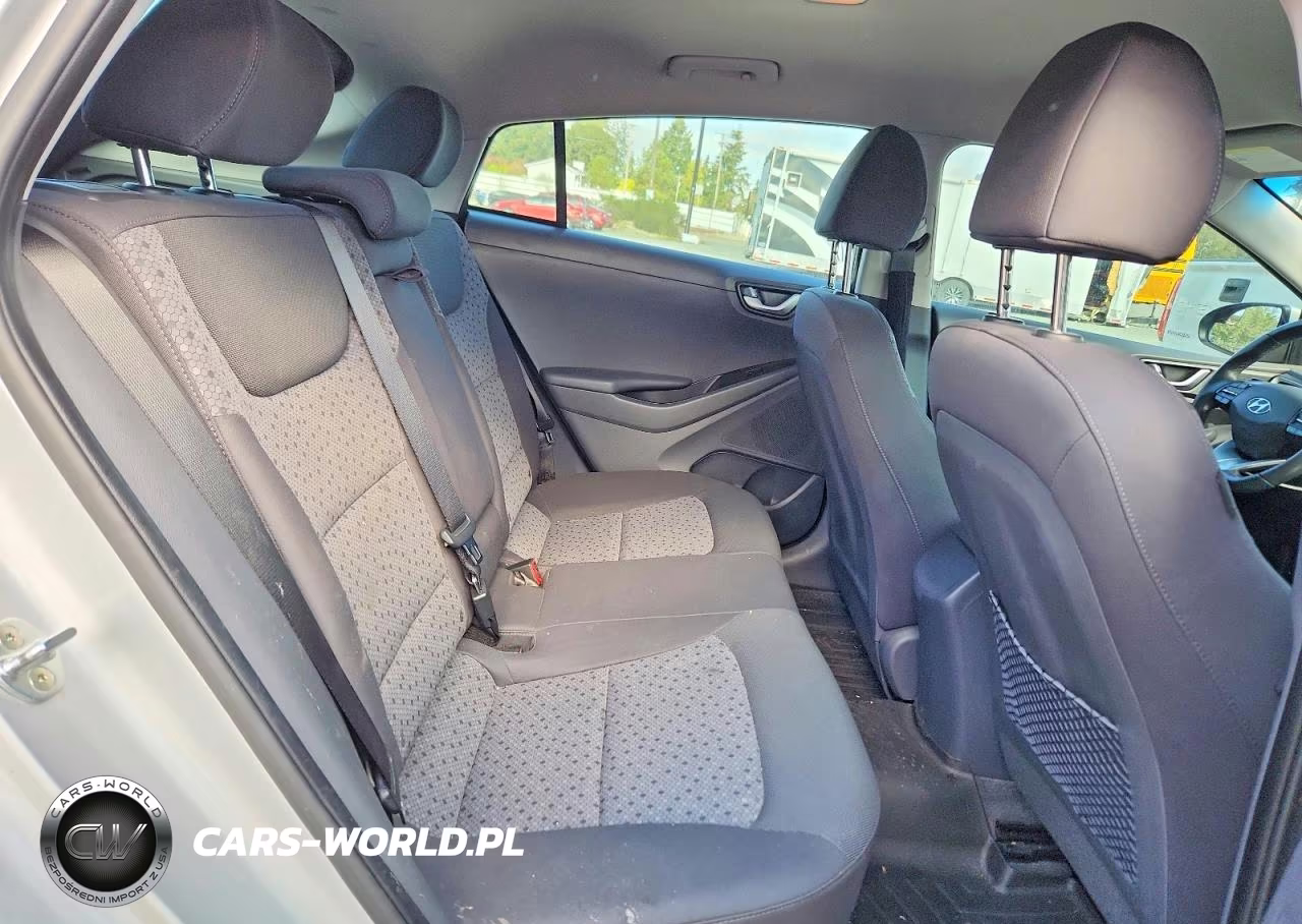 2019 Hyundai Ioniq Electric Base VIN:KMHC75LH2KU047139 - 10