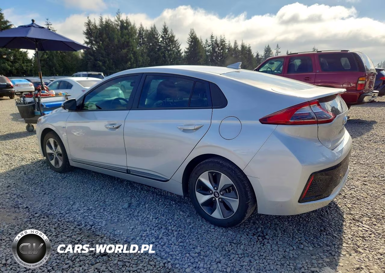 2019 Hyundai Ioniq Electric Base VIN:KMHC75LH2KU047139 - 2