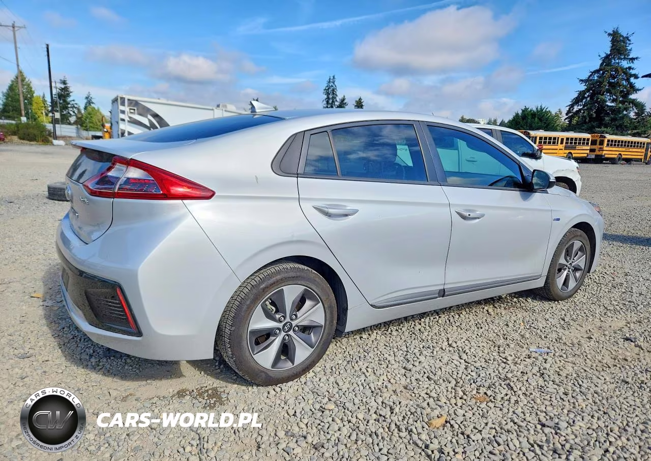 2019 Hyundai Ioniq Electric Base VIN:KMHC75LH2KU047139 - 3