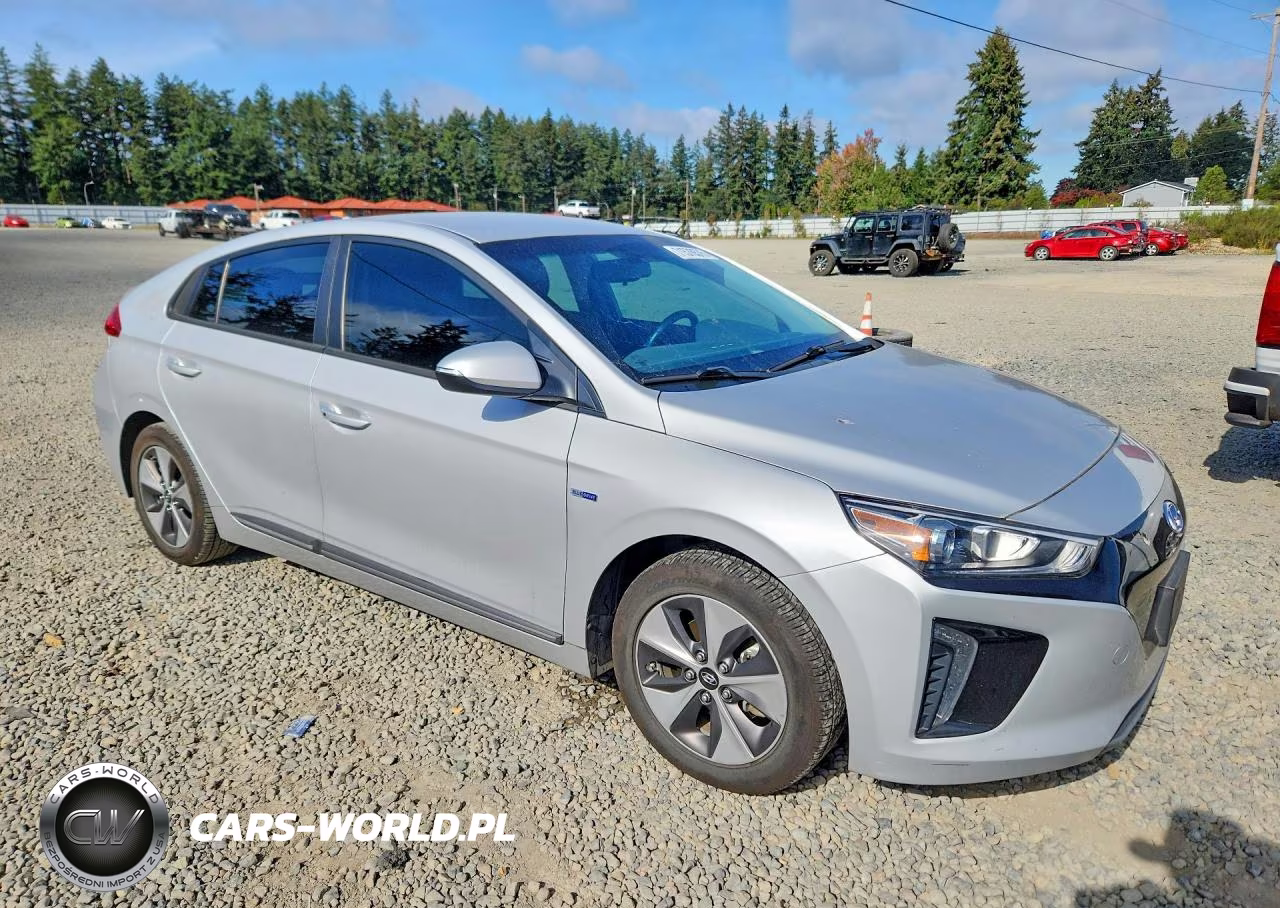 2019 Hyundai Ioniq Electric Base VIN:KMHC75LH2KU047139 - 4
