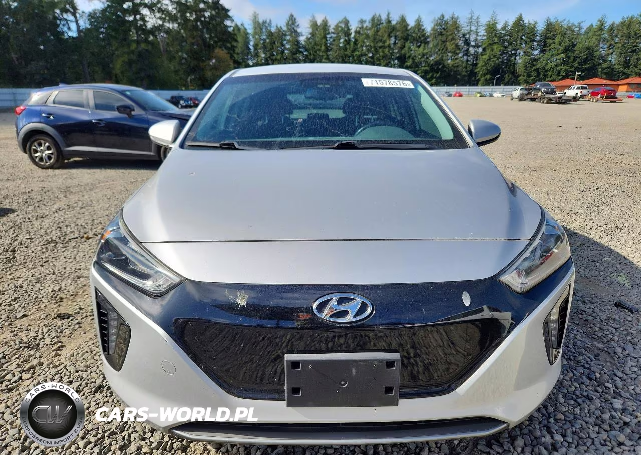 2019 Hyundai Ioniq Electric Base VIN:KMHC75LH2KU047139 - 5