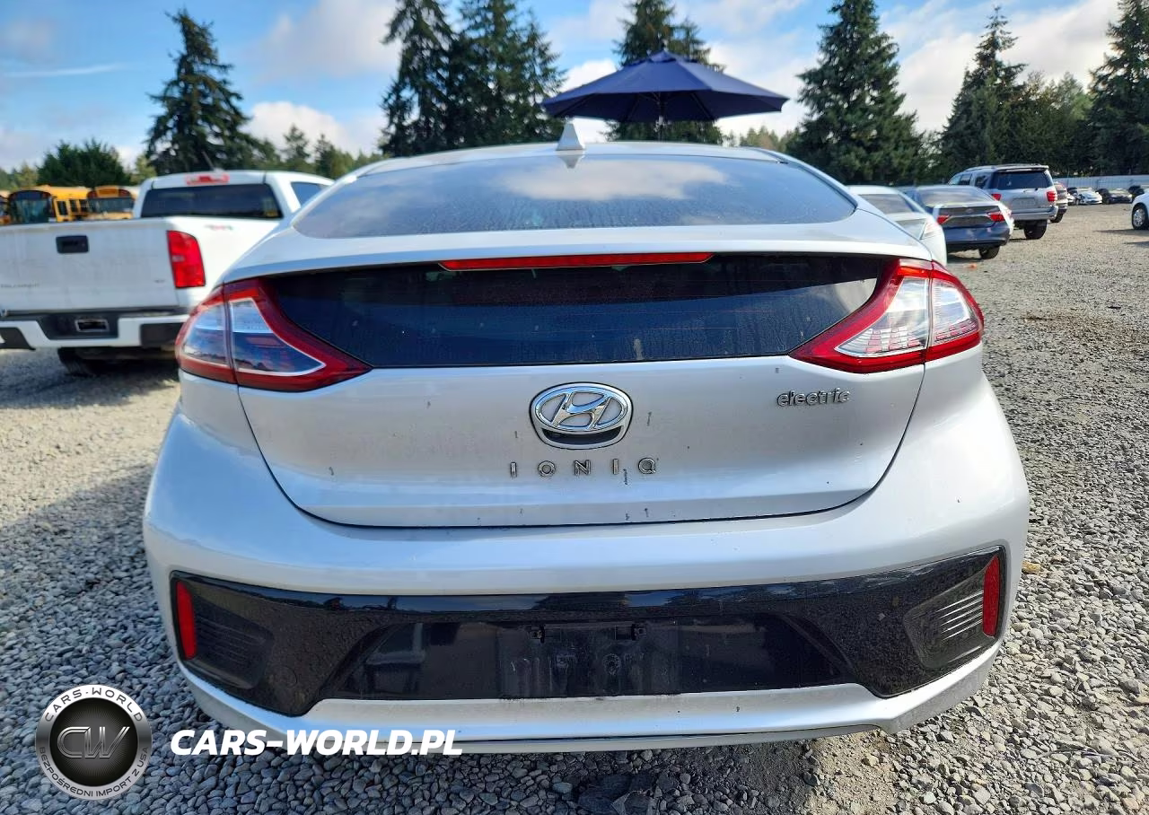2019 Hyundai Ioniq Electric Base VIN:KMHC75LH2KU047139 - 6