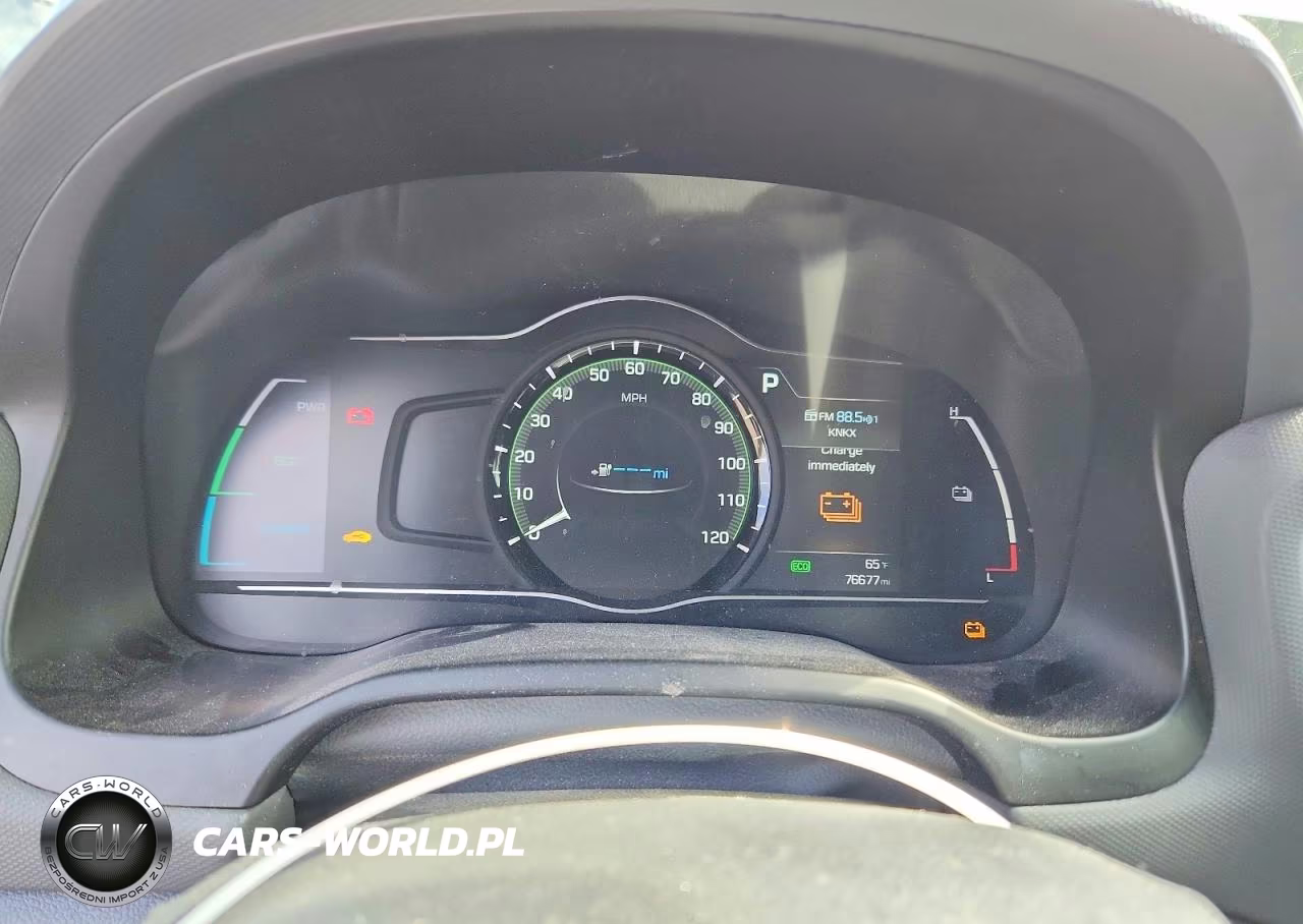 2019 Hyundai Ioniq Electric Base VIN:KMHC75LH2KU047139 - 9