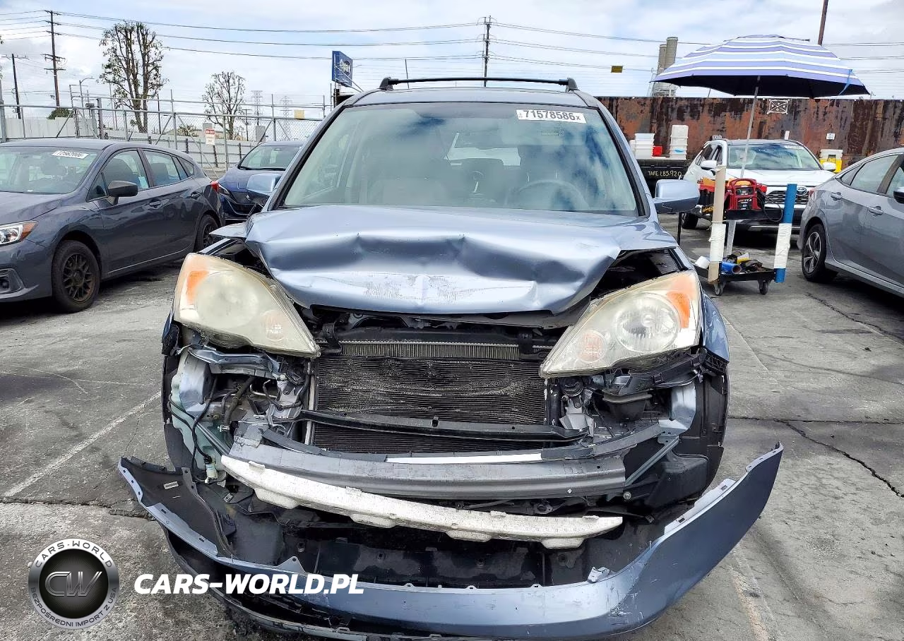 2007 Honda Cr-V Exl VIN:JHLRE38787C071695 - 5