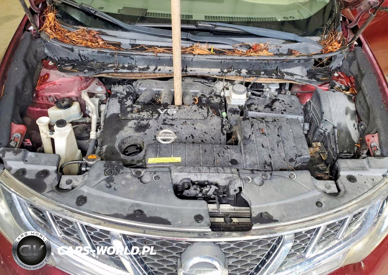 2012 Nissan Murano S VIN:JN8AZ1MU2CW118912 - 12