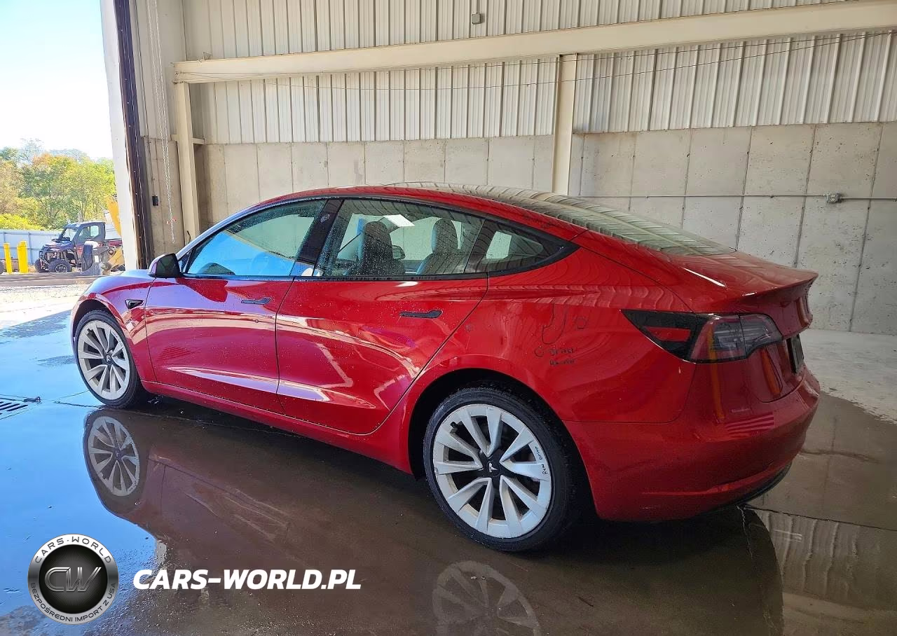 2023 Tesla Model 3 VIN:5YJ3E1EA7PF451346 - 2