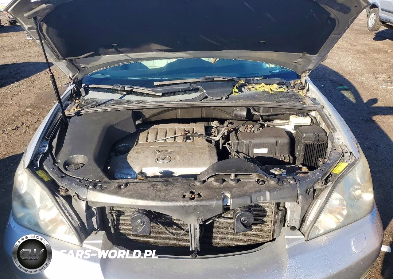 2009 Lexus Rx 350 VIN:2T2HK31U09C122811 - 12