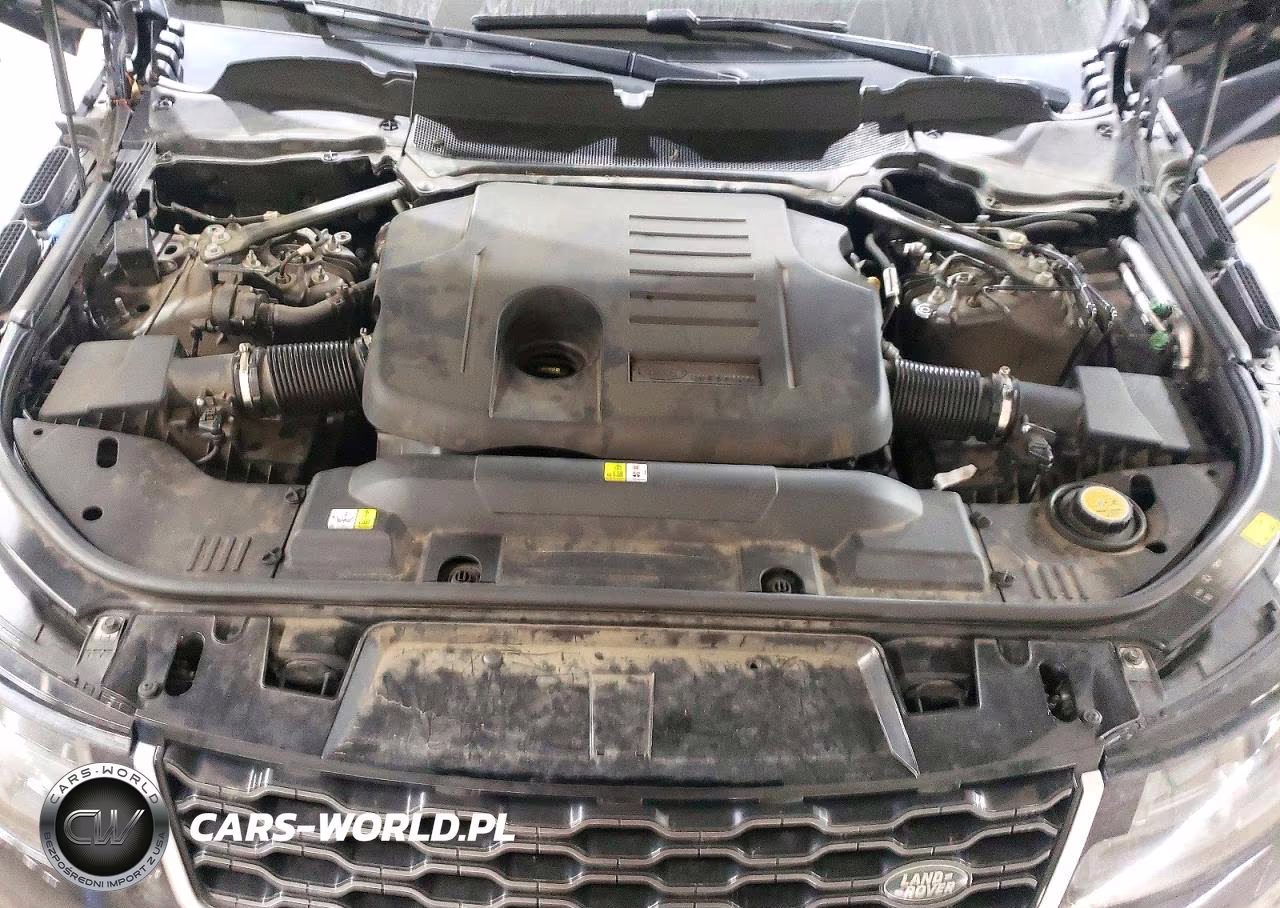 2019 Land Rover Range Rover Sport Hse VIN:SALWR2RU8KA866892 - 12