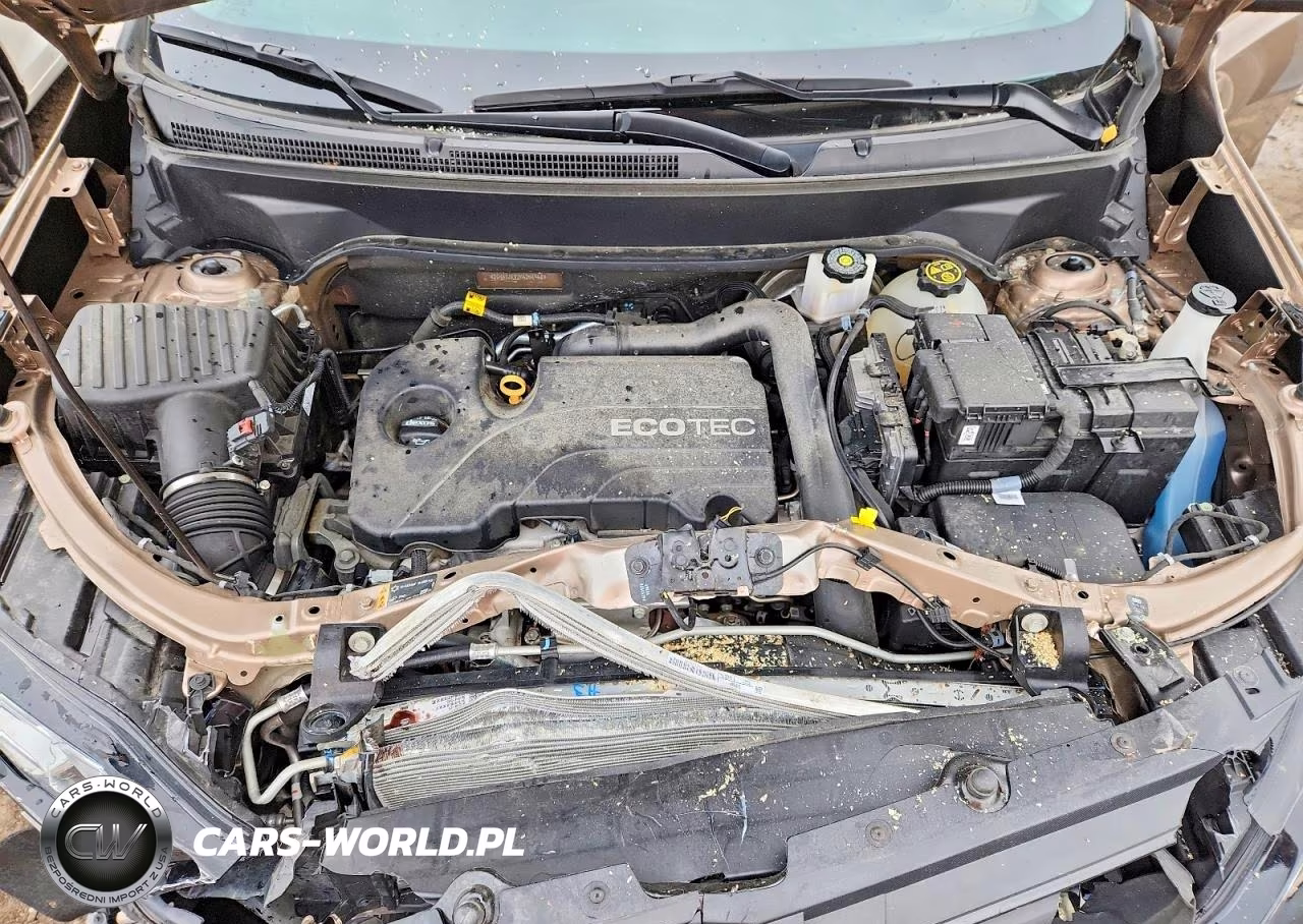 2019 Chevrolet Equinox Lt VIN:2GNAXJEV2K6251968 - 12