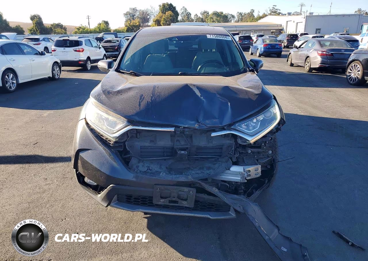 2019 Honda Cr-V Ex VIN:5J6RW2H55KA005123 - 5