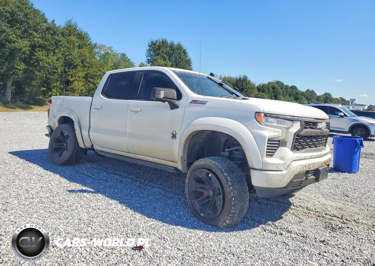 2023 Chevrolet Silverado K1500 Rst VIN:1GCUDEED3PZ299519 - 4