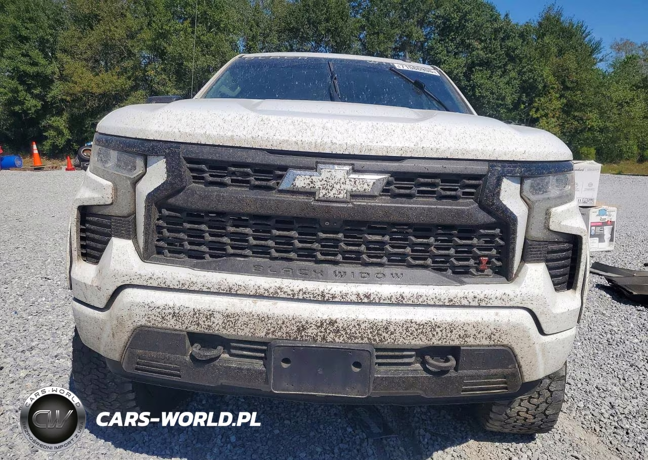 2023 Chevrolet Silverado K1500 Rst VIN:1GCUDEED3PZ299519 - 5