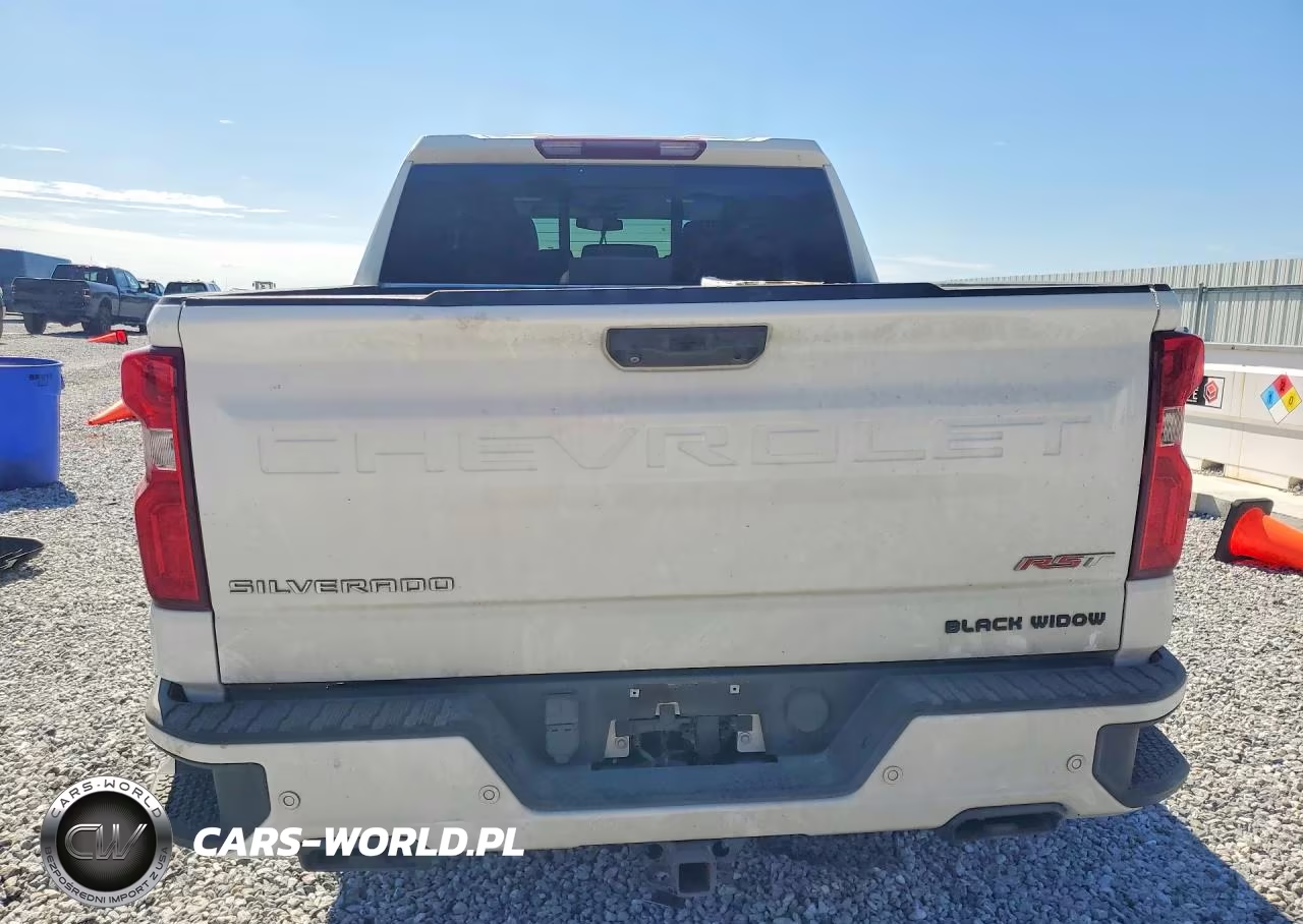 2023 Chevrolet Silverado K1500 Rst VIN:1GCUDEED3PZ299519 - 6