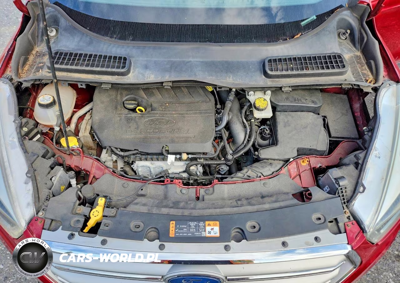 2019 Ford Escape Sel VIN:1FMCU9HD5KUB23300 - 12