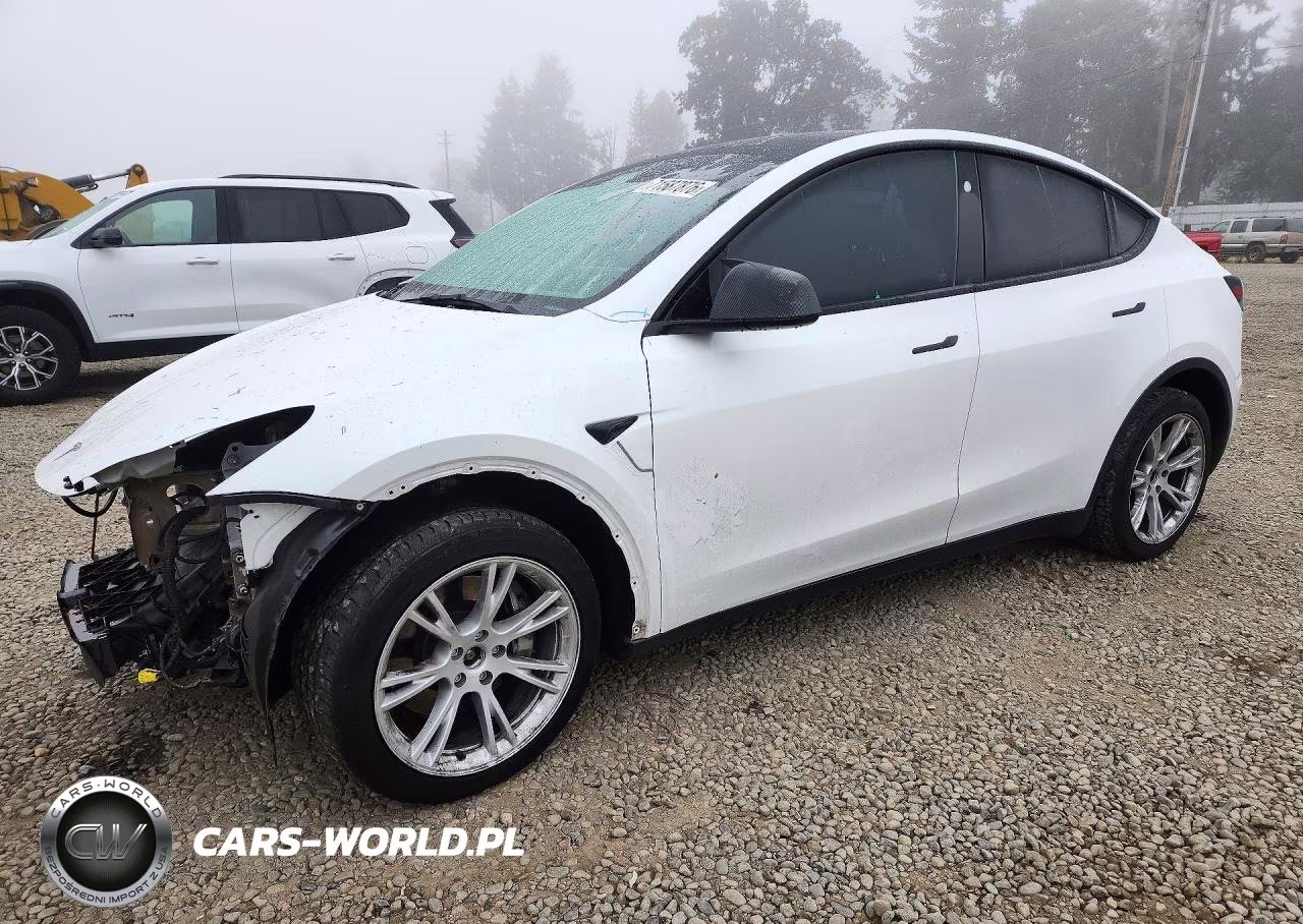 2023 Tesla Model Y VIN:7SAYGDEE5PF816887 - 1