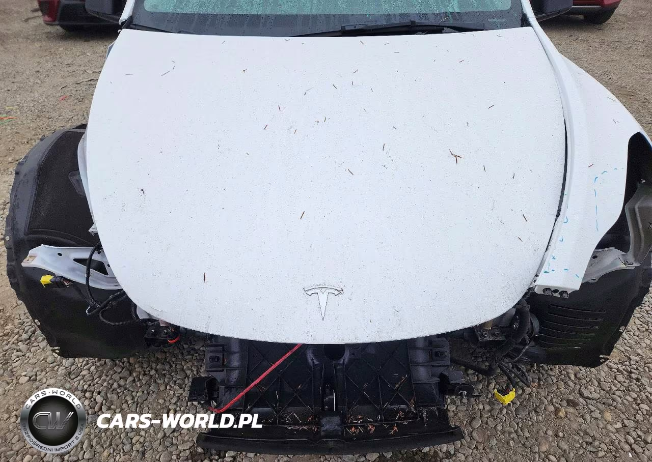 2023 Tesla Model Y VIN:7SAYGDEE5PF816887 - 12