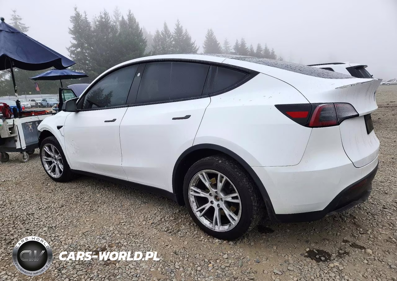 2023 Tesla Model Y VIN:7SAYGDEE5PF816887 - 2