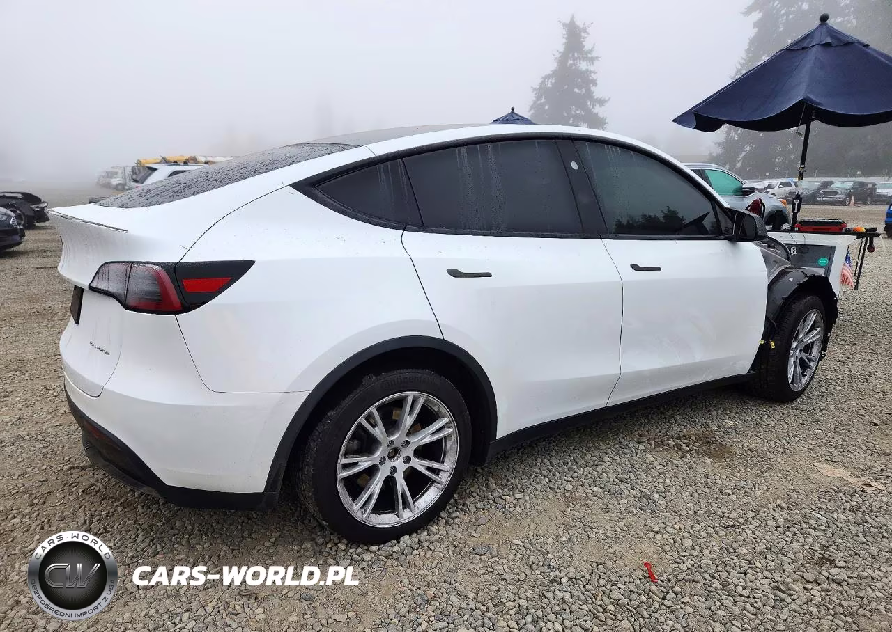 2023 Tesla Model Y VIN:7SAYGDEE5PF816887 - 3