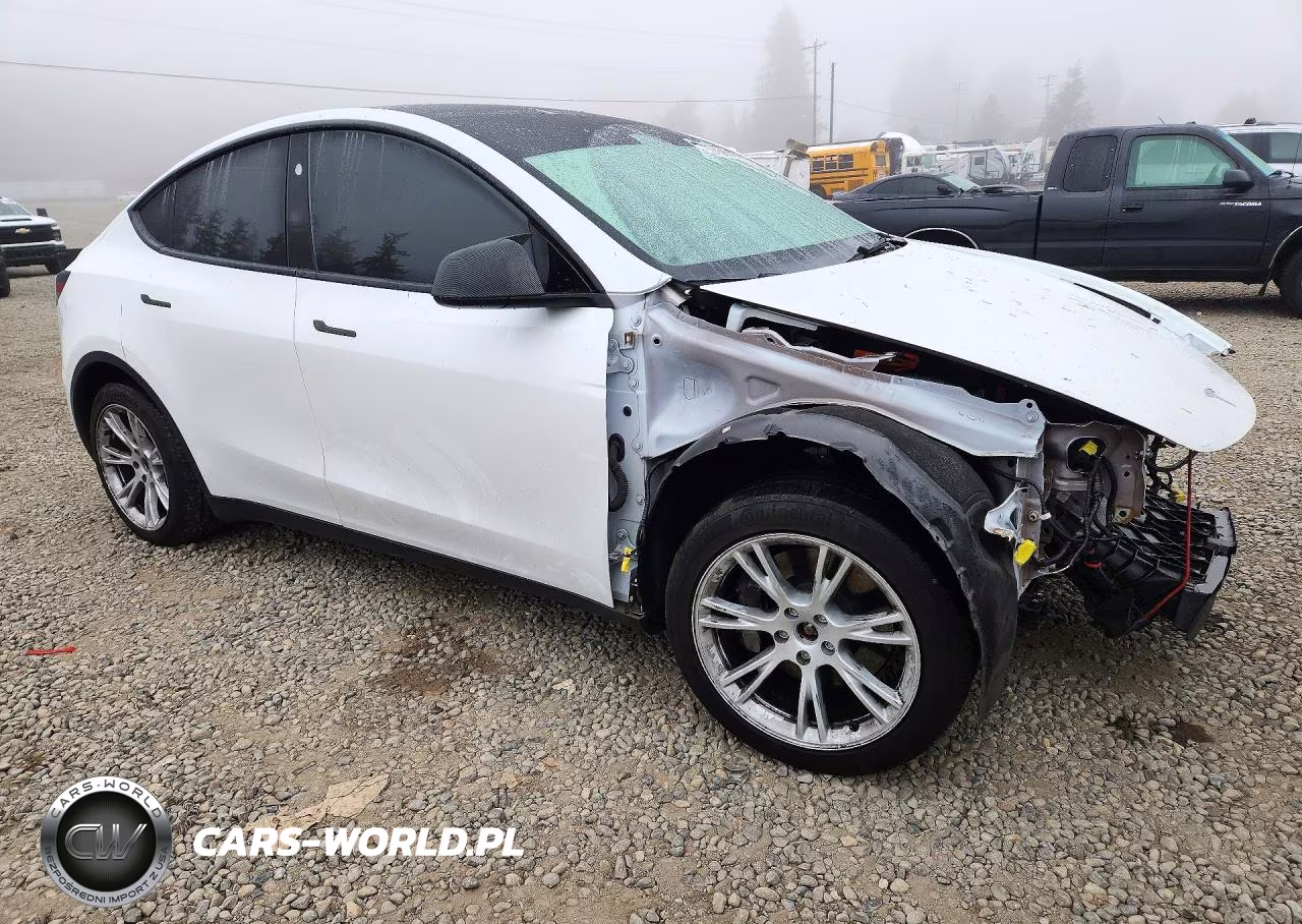2023 Tesla Model Y VIN:7SAYGDEE5PF816887 - 4
