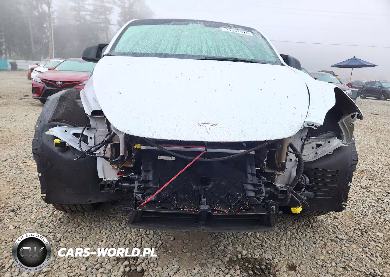 2023 Tesla Model Y VIN:7SAYGDEE5PF816887 - 5
