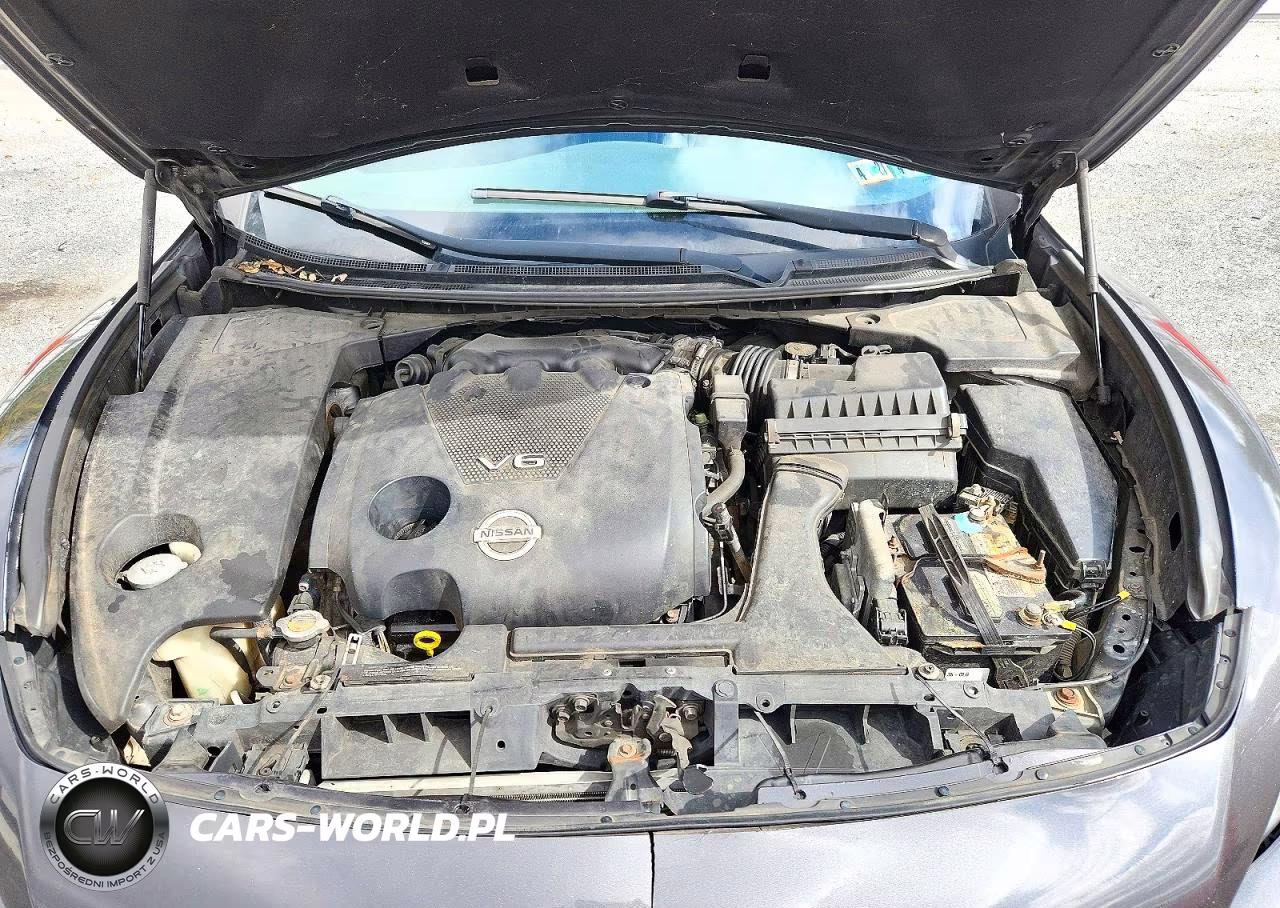 2013 Nissan Maxima 3.5 S VIN:1N4AA5AP5DC842417 - 11